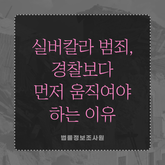 노인 대상 실버칼라 범죄는 사전조사를 먼저 해야 하는 5가지 이유 - 안녕하세요 법률정보조사원 입니다 관련 이미지